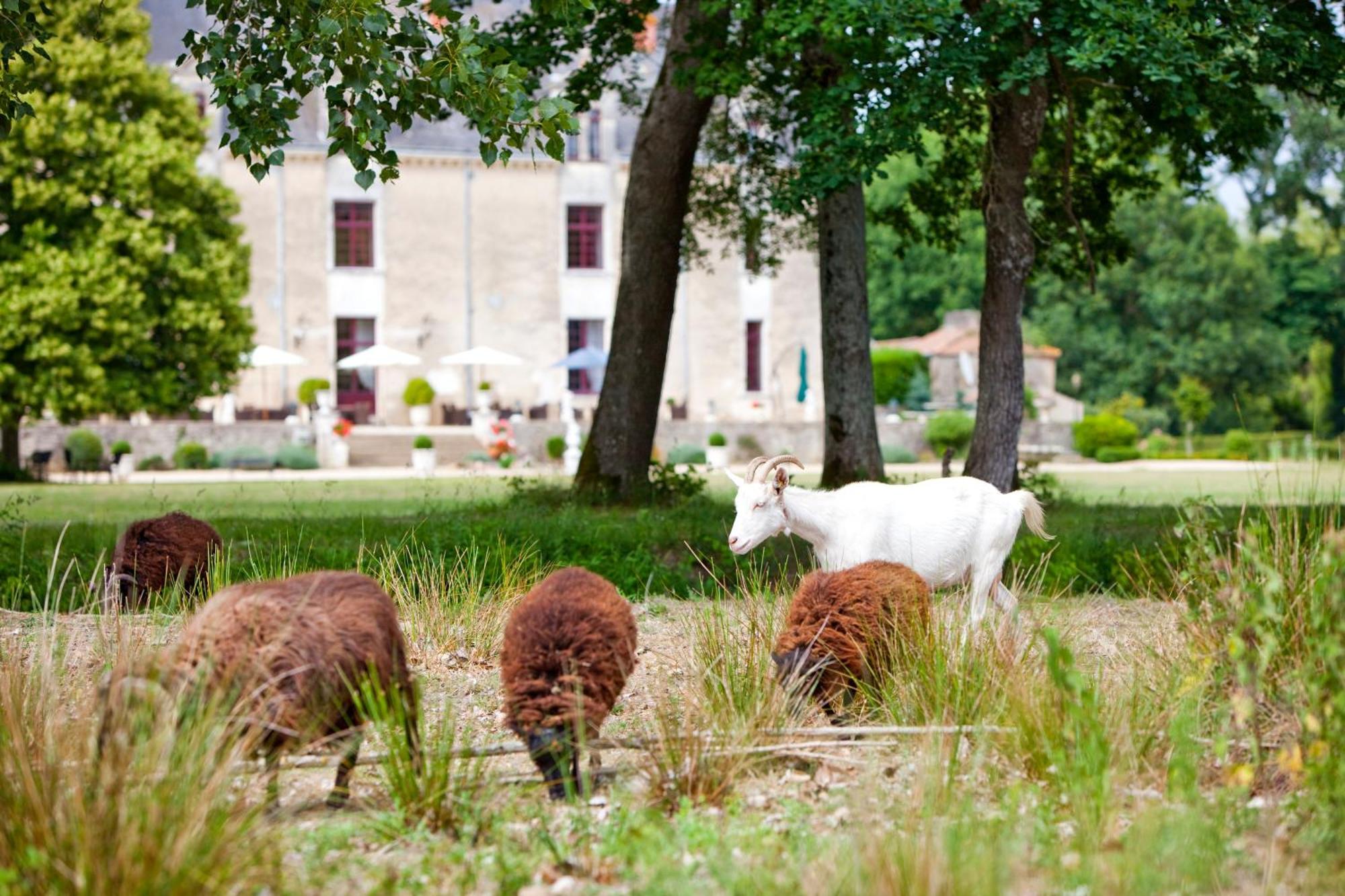 Château de la Verie Challans Exterior foto