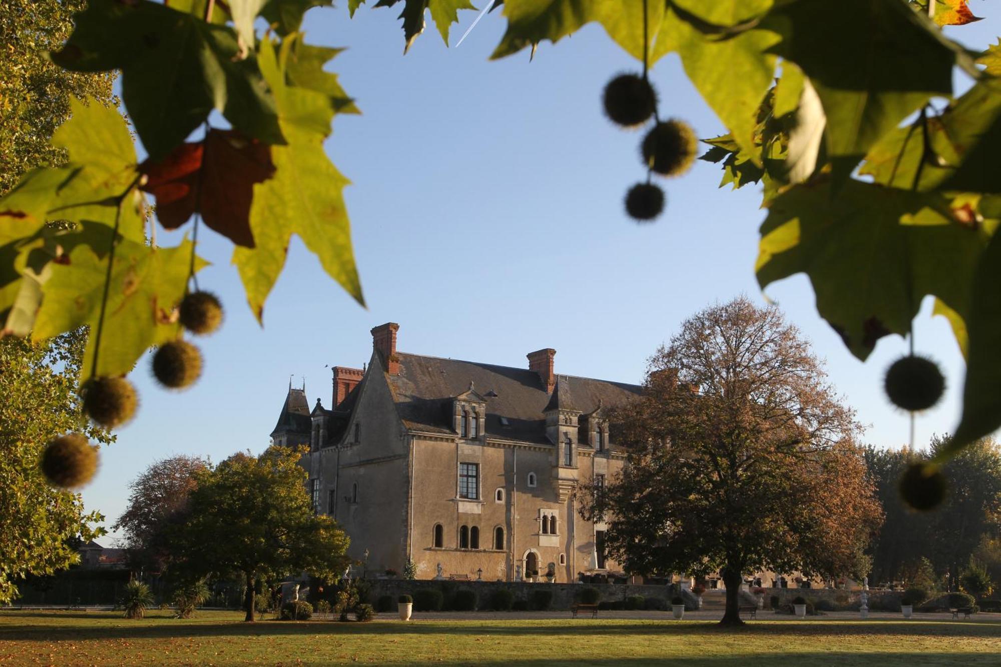 Château de la Verie Challans Exterior foto